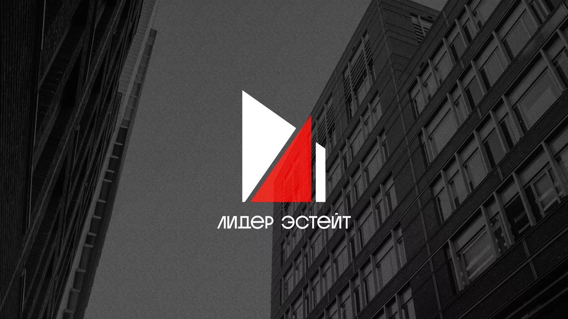 Сделали логотип для агентства недвижимости «Лидер Эстейт» в Жирновске